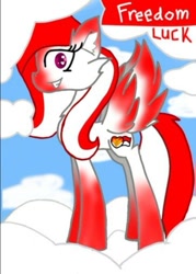 Size: 481x673 | Tagged: safe, artist:indonesia pony, derpibooru import, oc, oc only, oc:freedom luck, pegasus, pony, cloud, colored hooves, colored wings, ear fluff, ears, female, fur, grin, hooves, indonesia, looking at you, mare, on a cloud, pegasus oc, side view, sky, smiling, smiling at you, solo, spread wings, standing, standing on a cloud, tail, two toned mane, two toned tail, wide eyes, wings