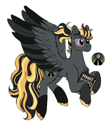 Size: 3143x3572 | Tagged: safe, artist:queenderpyturtle, derpibooru import, oc, oc:highway hypnosis, pegasus, pony, book, male, simple background, solo, stallion, transparent background