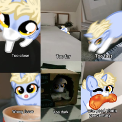 Size: 640x640 | Tagged: safe, artist:nootaz, derpibooru import, oc, oc:nootaz, pony, cheetos, irl, mouth hold, one eye closed, photo, ponies in real life, ponified animal photo