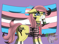 Size: 1600x1200 | Tagged: safe, artist:gray star, derpibooru exclusive, derpibooru import, oc, oc only, oc:sunny side(gray star), beauty mark, bow, choker, female, flannel shirt, glasses, hair bow, happy, pills, pride, pride flag, trans female, transgender, transgender oc, transgender pride flag