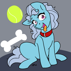 Size: 1000x1000 | Tagged: safe, artist:/d/non, derpibooru import, screw loose, earth pony, ball, behaving like a dog, bone, collar, gray background, grey hair, open mouth, simple background, sitting, tennis ball, tongue, tongue out, wide eyes