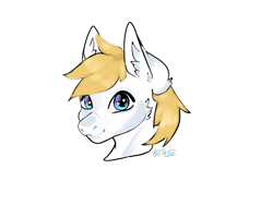 Size: 2160x1620 | Tagged: safe, artist:v-nuz, derpibooru import, pony, bust, ear fluff, ears, portrait, simple background, solo, transparent background