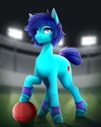 Size: 1728x2160 | Tagged: safe, artist:buvanybu, derpibooru import, oc, oc only, earth pony, pony, ball, blue eyes, earth pony oc, hooves, shadow, signature, smiling, solo, standing