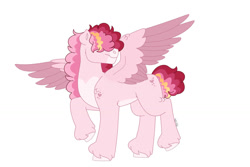 Size: 1280x854 | Tagged: safe, artist:itstechtock, derpibooru import, oc, oc:cupid blush, pegasus, pony, colored wings, hair over eyes, male, simple background, solo, stallion, two toned wings, white background, wings