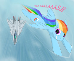 Size: 1700x1400 | Tagged: safe, artist:snk, derpibooru import, rainbow dash, pegasus, pony, f-14 tomcat, female, flying, grin, jet, jet fighter, jet plane, mare, smiling