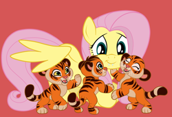 Size: 2885x1969 | Tagged: safe, artist:squipycheetah, derpibooru import, fluttershy, big cat, pegasus, pony, tiger, crossover, crouching, cub, cute, fangs, feliks, lunar new year, pasha, polina, red background, simple background, the lion guard