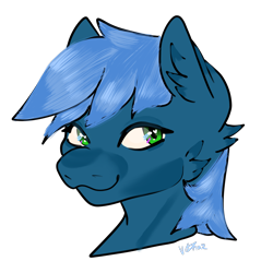 Size: 2048x2048 | Tagged: safe, artist:v-nuz, derpibooru import, oc, oc only, pony, simple background, solo, transparent background