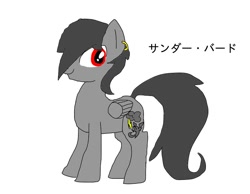 Size: 900x700 | Tagged: safe, artist:namaenonaipony, derpibooru import, oc, oc only, pegasus, pony, hair over one eye, japanese, simple background, solo, white background