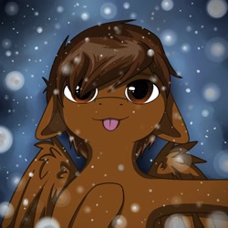 Size: 2160x2160 | Tagged: safe, artist:krotir, derpibooru import, oc, oc:mazz, pegasus, pony, :p, christmas, commission, cute, ears, ears back, floppy ears, holiday, licking, male, selfie, snow, snowfall, solo, stallion, tongue, tongue out, winter