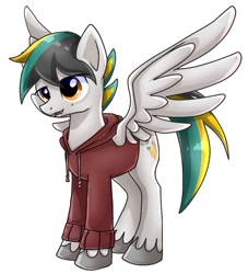 Size: 885x973 | Tagged: safe, artist:namaenonaipony, derpibooru import, oc, oc only, pegasus, pony, clothes, jacket, simple background, solo, white background