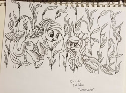 Size: 1200x884 | Tagged: safe, artist:vinylbecks, derpibooru import, oc, oc only, merpony, pony, female, fish tail, flowing tail, inktober, looking at each other, looking at someone, monochrome, ocean, open mouth, seaweed, smiling, tail, traditional art, underwater, water