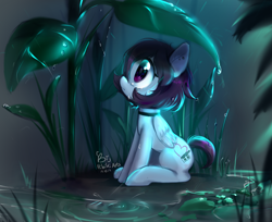 Size: 1270x1037 | Tagged: safe, artist:hibikiarts, derpibooru import, oc, oc only, oc:snowbi heart, pegasus, pony, crying, female, lilypad, looking up, mare, plant, sitting, solo