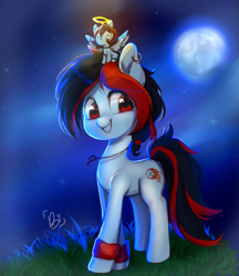 Size: 1141x1321 | Tagged: safe, artist:hibikiarts, derpibooru import, oc, oc only, oc:tiorafa, earth pony, pegasus, pony, duo, ear piercing, earring, grass, halo, jewelry, male, moon, necklace, night, piercing, size difference, small pony, smiling, stallion, wristband