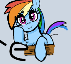 Size: 259x232 | Tagged: source needed, useless source url, safe, artist:_ton618_, ponerpics import, rainbow dash, pegasus, pony, aggie.io, blushing, chest fluff, female, looking at you, mare, simple background, smiling, solo