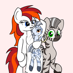 Size: 2000x2000 | Tagged: safe, artist:dafiltafish, derpibooru import, oc, oc:silverfoot, earth pony, pony, zebra, body pillow, concerned pony, judgement, meme, simple background, zeeaboo