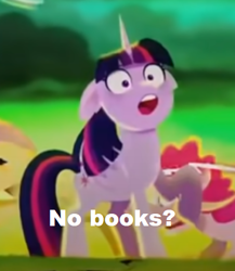 Size: 365x421 | Tagged: safe, derpibooru import, edit, edited screencap, screencap, twilight sparkle, faic, meme, no bitches?