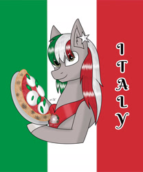 Size: 1280x1536 | Tagged: safe, artist:hiroultimate, derpibooru import, oc, pony, flag, italy, nation ponies, ponified, solo