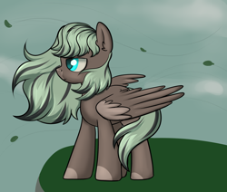 Size: 2600x2200 | Tagged: safe, artist:dumbwoofer, derpibooru import, oc, oc:forest air, pegasus, dyed mane, female, hill, leaves, looking offscreen, mare, sky, solo, wind