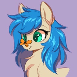 Size: 3000x3000 | Tagged: safe, artist:ask-colorsound, derpibooru import, oc, oc only, butterfly, pony, butterfly on nose, chest fluff, cute, female, insect on nose, mare, smiling, solo
