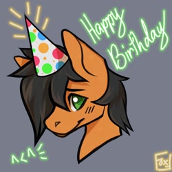 Size: 1500x1500 | Tagged: safe, artist:defiant_fox, artist:defiantfox, derpibooru import, oc, oc only, pony, happy birthday, solo