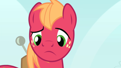 Size: 1280x720 | Tagged: safe, derpibooru import, screencap, big macintosh, earth pony, pony, season 4, somepony to watch over me, confused, frown, implied apple bloom, male, reaction image, solo, stallion, why