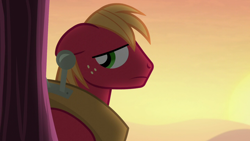 Size: 1280x720 | Tagged: safe, derpibooru import, screencap, big macintosh, earth pony, pony, brotherhooves social, season 5, big macintosh's yoke, horse collar, male, reaction image, sad, solo, stallion, sunset