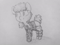 Size: 4128x3096 | Tagged: safe, artist:cherro, derpibooru import, oc, oc only, pony, amputee, prosthetics, solo, traditional art