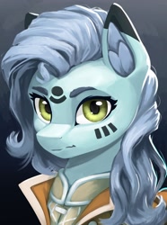 Size: 1560x2100 | Tagged: safe, artist:printik, derpibooru import, oc, oc only, earth pony, pony, equestria at war mod, bust, clothes, coat markings, ear fluff, ears, female, looking at you, mare, portrait, solo