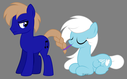 Size: 2500x1568 | Tagged: safe, artist:feather_bloom, derpibooru import, oc, oc:blue_skies, oc:feather_bloom, earth pony, pegasus, pony, annoyed, braided tail, couple, earth pony oc, funny, pegasus oc, show accurate, tail
