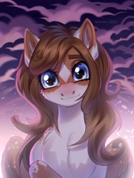 Size: 1963x2600 | Tagged: safe, artist:fenwaru, derpibooru import, oc, oc only, oc:mabel, pegasus, pony, blushing, chest fluff, coat markings, female, looking at you, mare, solo, star (coat marking)