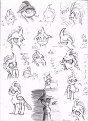 Size: 5100x7016 | Tagged: safe, artist:johnerose126, derpibooru import, ocellus, changedling, changeling, absurd resolution, monochrome, solo, traditional art