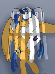 Size: 2700x3600 | Tagged: safe, derpibooru import, flash sentry, shining armor, pegasus, unicorn, gay, infidelity, male, shiningsentry, shipping