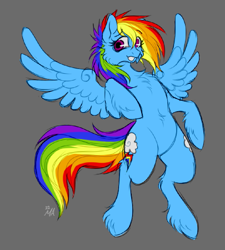 Size: 945x1050 | Tagged: safe, artist:mechanakal, derpibooru import, rainbow dash, pegasus, pony, alternate color palette, chest fluff, eye clipping through hair, eyebrows, eyebrows visible through hair, female, floating, fluffy, gray background, looking at you, mare, nervous, pixelated, raised hoof, raised leg, signature, simple background, sketch, smiling, solo, spread wings, tail, unshorn fetlocks, windswept tail, wings