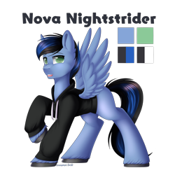 Size: 3000x3000 | Tagged: safe, artist:xcinnamon-twistx, derpibooru import, oc, oc only, oc:nova nightstrider, pegasus, clothes, commission, hoodie, male, reference sheet, simple background, solo, transparent background