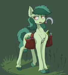 Size: 1909x2099 | Tagged: safe, artist:paskanaakka, derpibooru exclusive, derpibooru import, oc, oc only, oc:bittergreen, earth pony, bag, chest fluff, colored hooves, ear fluff, ears, female, mare, mouth hold, saddle bag, sickle, solo, unshorn fetlocks