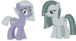 Size: 2803x1500 | Tagged: safe, artist:sketchmcreations, derpibooru import, limestone pie, marble pie, earth pony, pony, female, frown, looking at you, mare, personality swap, pi day, pie sisters, siblings, simple background, sisters, standing, transparent background, vector