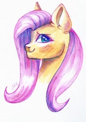 Size: 651x921 | Tagged: safe, artist:ske, derpibooru import, fluttershy, pegasus, pony, bust, portrait, solo, traditional art