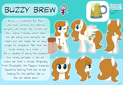 Size: 4961x3459 | Tagged: safe, artist:auroramint, derpibooru import, oc, oc only, oc:buzzy brew, pegasus, pony, commission, female, implied vore, mare, reference, reference sheet, solo