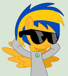 Size: 1048x1172 | Tagged: safe, derpibooru import, oc, oc:flare spark, pegasus, pony, anti-war, current events, peace symbol, solo, sunglasses, ukraine