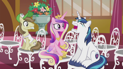 Size: 1280x720 | Tagged: safe, derpibooru import, screencap, hayseed turnip truck, princess cadance, shining armor, alicorn, earth pony, pony, unicorn, season 5, slice of life (episode), chair, crying armor, exploitable meme, female, male, mare, meme, meme origin, sad, sad armor, sitting, stallion, teary eyes, trio, wedding day, whining, whining armor