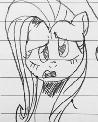 Size: 1591x1989 | Tagged: safe, artist:c.a.m.e.l.l.i.a, derpibooru import, fluttershy, pegasus, female, lined paper, looking at you, simple background, solo, traditional art, wat, white background