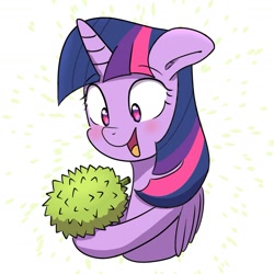 Size: 1575x1575 | Tagged: safe, artist:yinglung, artist:yinglungdraws, derpibooru import, twilight sparkle, twilight sparkle (alicorn), alicorn, pony, blushing, cute, durian, food, fruit, open mouth, simple background, solo, this will end in tears, twiabetes, white background