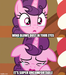 Size: 500x562 | Tagged: safe, derpibooru import, edit, edited screencap, screencap, sugar belle, pony, unicorn, season 8, the break up breakdown, spoiler:s08, caption, crying, exploitable meme, female, image macro, meme, sugar belle's breakdown meme, teary eyes, text