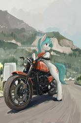 Size: 3587x5425 | Tagged: safe, artist:龙宠, derpibooru import, oc, oc only, oc:emily, pony, unicorn, female, mare, motorcycle, road, scenery, shanher's trip, solo, tail