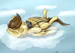 Size: 4096x2892 | Tagged: safe, artist:dbcreativearts, derpibooru import, oc, oc:buttercup, pegasus, aretist:db, sleeping, small pony, solo