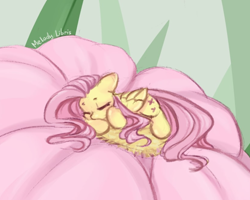 Size: 826x660 | Tagged: safe, artist:melodylibris, derpibooru import, fluttershy, pegasus, pony, cute, daaaaaaaaaaaw, female, flower, lying down, mare, micro, shyabetes, sleeping, solo, tiny, tiny ponies