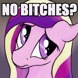 Size: 1000x1000 | Tagged: safe, artist:ahorseofcourse, derpibooru import, princess cadance, pony, caption, image macro, megamind, meme, no bitches?, ponified, ponified meme, reaction image, solo, text, vulgar