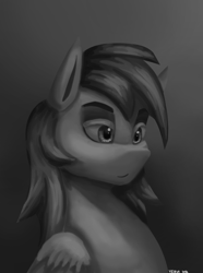 Size: 1000x1346 | Tagged: safe, artist:vezja, derpibooru import, rainbow dash, pegasus, pony, abstract background, black and white, bust, female, grayscale, mare, monochrome, portrait, simple background, solo