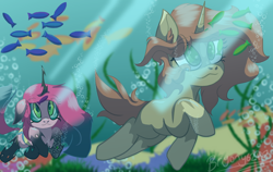 Size: 1280x811 | Tagged: safe, artist:brybrychan, derpibooru import, oc, oc only, changeling, fish, pony, unicorn, bubble, crepuscular rays, date, disguise, disguised changeling, duo, female, green eyes, horn, male, mare, ocean, rock, seaweed, signature, stallion, sunlight, swimming, underwater, water