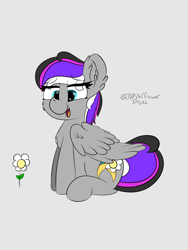 Size: 1536x2048 | Tagged: safe, artist:lunastaralight, derpibooru import, oc, oc only, pegasus, pony, g4, cheek fluff, chest fluff, digital art, ear fluff, ears, eye clipping through hair, eyebrows, eyebrows visible through hair, flower, folded wings, full body, gray background, heart eyes, hooves, multicolored mane, multicolored tail, open mouth, open smile, pegasus oc, signature, simple background, sitting, smiling, solo, tail, wingding eyes, wings